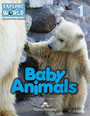 Baby Animals Baby Animals