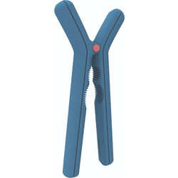 Καρυοθραύστης 19 εκ. Pedrini ROMP.Y 04GD297-6 Blue