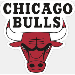 Wincraft Nba Prc Mag Cd C Bulls 22032041 Bulls
