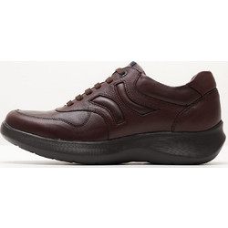 Callaghan 16605 Brown