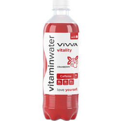 Vegan Βιταμινούχο Νερό Vitality με Ράσμπερι και Ιβίσκο Viwa 600ml