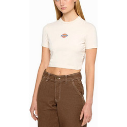Dickies Maple Valley T-Shirt (whitecap)