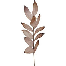 ART ET LUMIERE ΚΛΑΔΙ ΜΕ ΦΥΛΛΑ ΙΒΟΥΑΡ-ΚΑΦΕ - SKU -08646