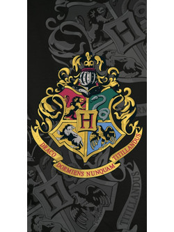 Borea Harry Potter Πετσέτα Θαλάσσης Πολύχρωμη 70x140cm 008373