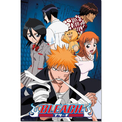 BLEACH - Characters - Poster 61 x 91cm