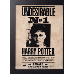 HARRY POTTER - Undesirable N1 - Collector Print '30x40cm'