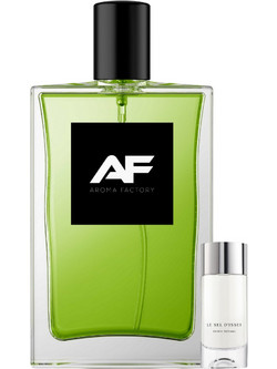 Type Le Sel D'Issey Miyake Homme