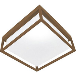 Φωτιστικό Οροφής - Πλαφονιέρα Leon2 LEON2E27C 2xE27 Max 20W 25x10x25cm Corten Bot Lighting