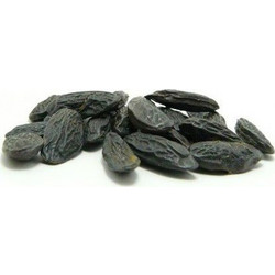 Tonka Beans .50gr