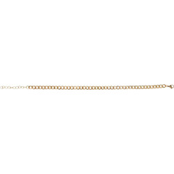 Αλυσίδα ποδιού Stainless Steel χρυσή 5 mm