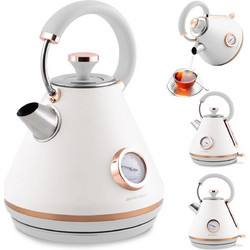 Berdsen BD-701