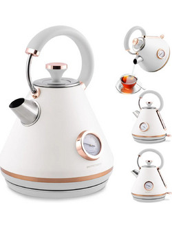 Berdsen BD-701
