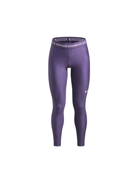 Under Armour HeatGear Leggings Kids