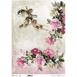 Ριζόχαρτο roses 42x29.7εκ. (ITD-R174L)