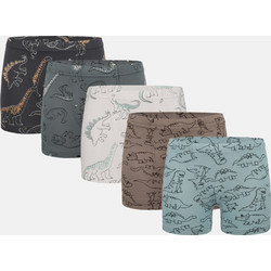 ΒΑΜΒΑΚΕΡΑ ΑΓΟΡΙ BOXER DONELLA 5 PACK 758135 - MULTICOLOR