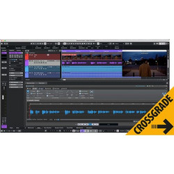 Steinberg Nuendo 15 CG Nuendo Live
