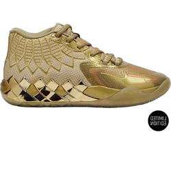 Puma Ανδρικά Αθλητικά Παπούτσια για Μπάσκετ Χρυσά 379223-01