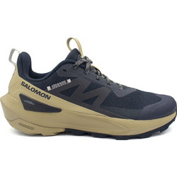 Salomon Elixir Activ Ανδρικά Αθλητικά Παπούτσια Trail Running Ανθρακί Χρυσά 474553