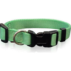 Pet Interest Plain Line Κολάρο Σκύλου Πράσινο 1.5x22-40cm