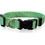 Pet Interest Plain Line Κολάρο Σκύλου Πράσινο 1.5x22-40cm
