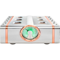 Dan D'Agostino Relentless 800 Monoblock 1600W/4Ω 800W/8Ω