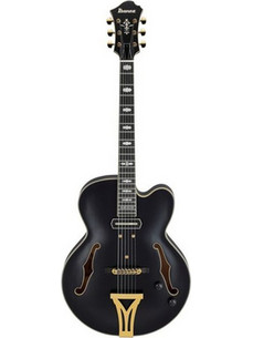 Ibanez PM3C Pat Metheny Ηλεκτρική Κιθάρα 4/4 Hollow με Ταστιέρα Ebony Black