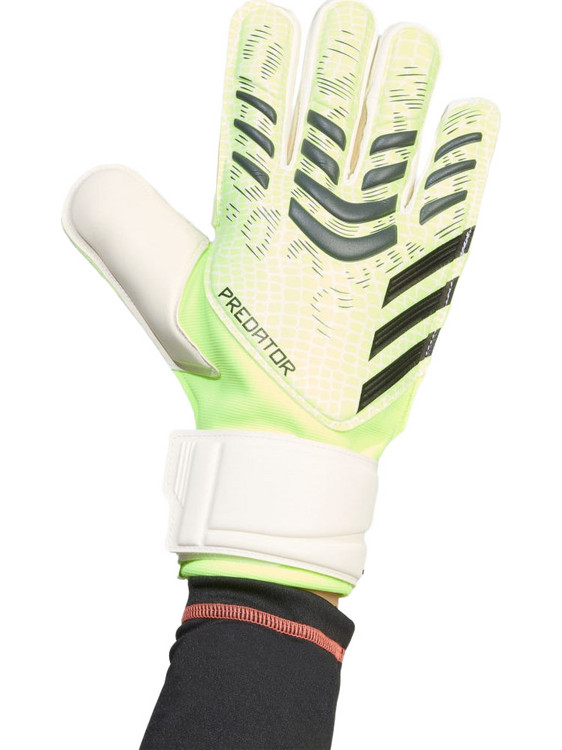 Adidas Predator Match Γάντια Τερματοφύλακα Lime JN5351