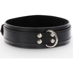 Taboom Heavy D Ring Collar Black
