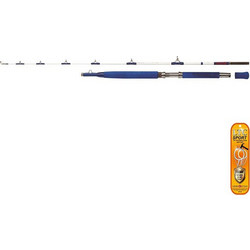 WFT Electra Speed Καλάμι Ψαρέματος για Jigging Δίσπαστο 2m 200-1000gr