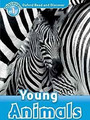 Oxford Read and Discover: Level 1: Young Animals