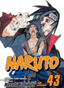 Naruto, Vol. 43 Naruto, Vol. 43