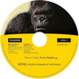 Level 2: Kong the Eighth Wonder of the World Level 2: Kong the Eighth Wonder of the World