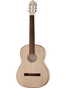 Gewa Pro Natura Silver 4/4 Maple