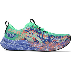 ASICS Noosa Tri 16 Ανδρικά Αθλητικά Παπούτσια για Τρέξιμο Πολύχρωμα 1011B872-301