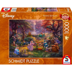 Puzzle Schmidt Robin Hood 1000 Κομμάτια