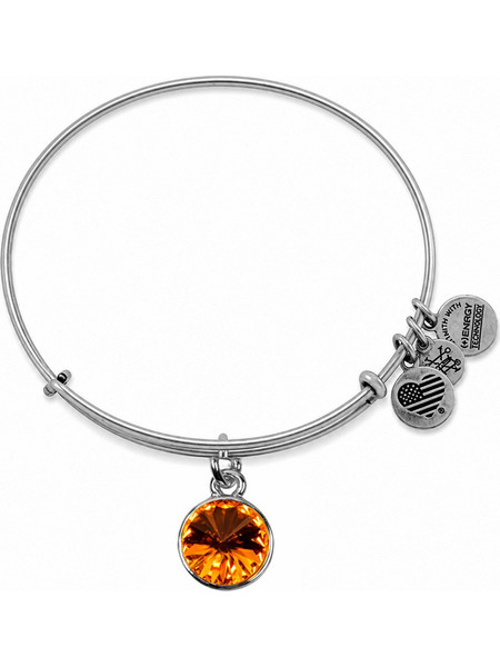 Alex and Ani Γυναικείο Βραχιόλι Βέργα Ασημί A12EB250RS