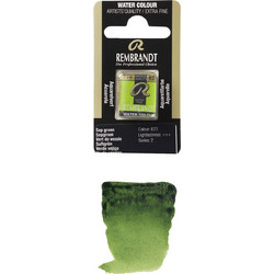 Royal Talens Rembrandt 623 Sap Green Νερομπογιά 11-586-623