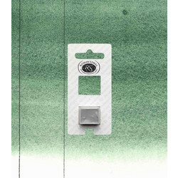 Roman Szmal Aquarius 270 Chromium Green Oxide Dark Νερομπογιά 11-590-270