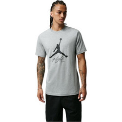 Jordan Jumpman Flight Ανδρικό Αθλητικό T-Shirt Γκρι AO0664-064