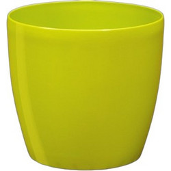 Plastona Roto Brill Κασπώ Δαπέδου Πλαστικό Lime 22x20cm 10.06.0601