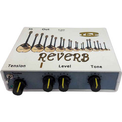 TAP Reverb για μπουζούκι