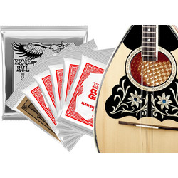 Ernie Ball W6 Σετ 6 Χορδές Μπουζουκιού Phosphor Bronze 10-22" Light Tension