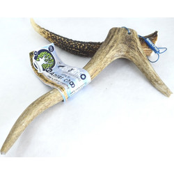 Bloo Choo Antler Κέρατο Ελαφιού XLarge Full Xlong 80-120gr