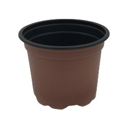 ΓΛΑΣΤΡΑΚΙ ΦΥΤΩΡΙΟΥ (9cm)