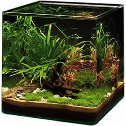 Dennerle Nano Cube Ενυδρείο Ψαριών με Φωτισμό 30lt Διαφανές
