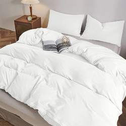 Lino Home Σεντόνι Μονό Βαμβακερό 160x260 Moderna White