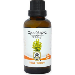 Herbstore Βάμμα Χρυσόβεργα 50ml