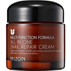 Mizon All In One Snail Repair Cream 75ml