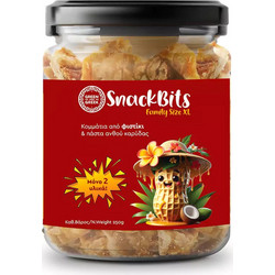 SnackBits κομμάτια φιστικιού με πάστα ανθού καρύδας, 250g