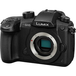 Panasonic Lumix GH5S Mirrorless Φωτογραφική Μηχανή Crop Frame Body